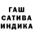 ГАШ гарик Terentiy Ilin