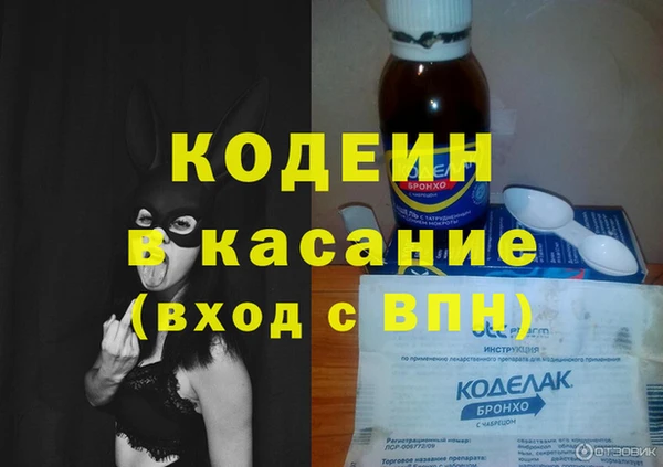 дживик Липки