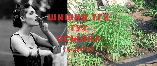 дживик Липки