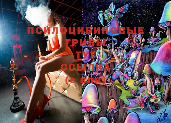 молекула духа Усмань