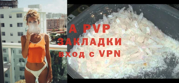дживик Липки